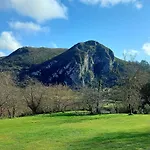 Quinta Solera Oviedo