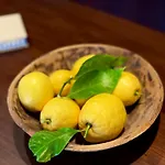 Quinta Solera Oviedo