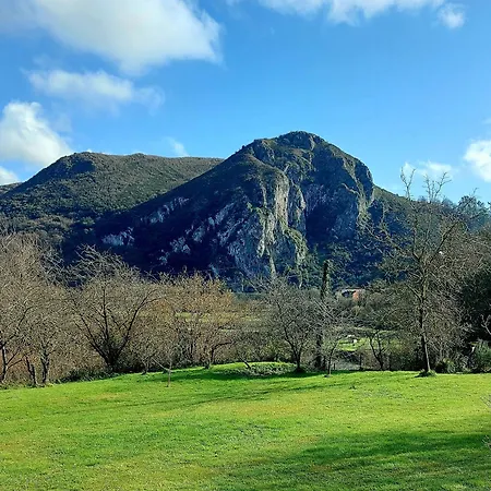 Quinta Solera Oviedo