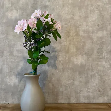 Quinta Solera 3* Oviedo