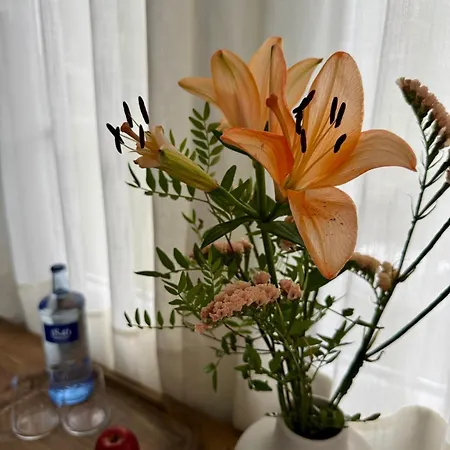 Quinta Solera Otel 3*