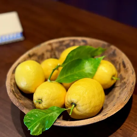 Quinta Solera Oviedo